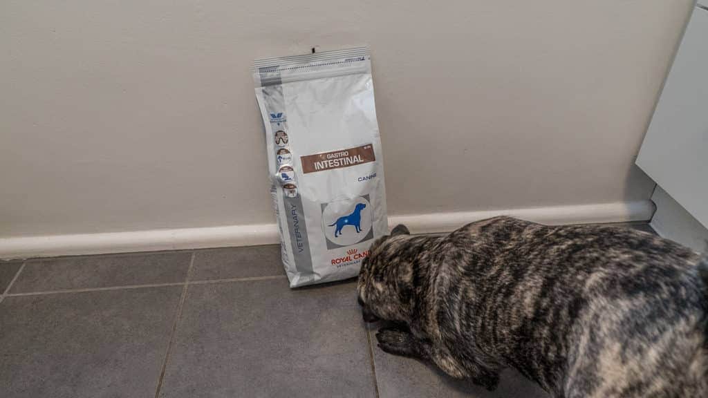 Royal Canin Hundefutter Test: Verpackung und Kroketten im Detail