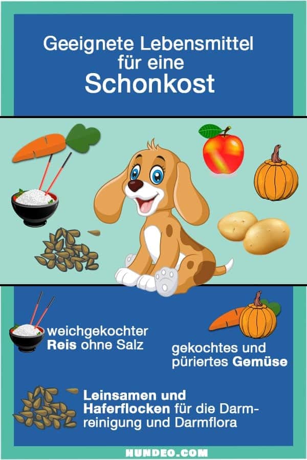 Illustrazione di un cane circondato da cibo leggero: carote, mela, patate. Sotto c'è scritto: Ricette per la dieta leggera. Riso ben cotto senza sale, verdura cotta e passata oltre a semi di lino e fiocchi d'avena per la pulizia dell'intestino e una flora intestinale sana.