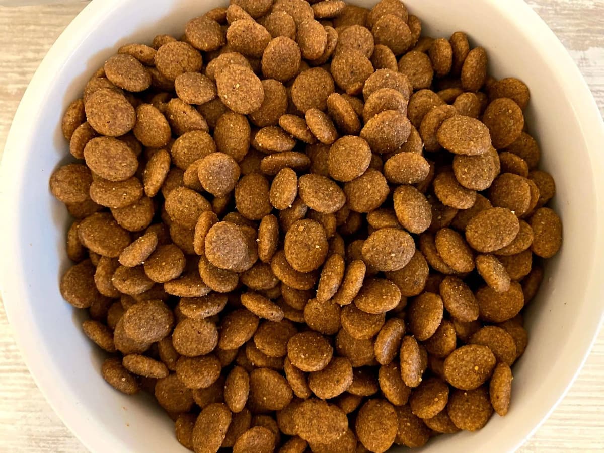 Veterinary Gastrointestinal