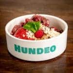 Eine weiße Schüssel mit dem blaugrünen Aufdruck „HUNDEO" ist ideal für Barfen-Anfänger und mit Schichten aus rotem und braunem Futter gefüllt. Darauf liegen Samen, eine Himbeere und ein Spinatblatt, alles auf einer Holzoberfläche.