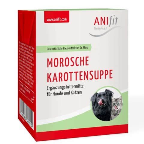 Anifit Morosche Karottensuppe