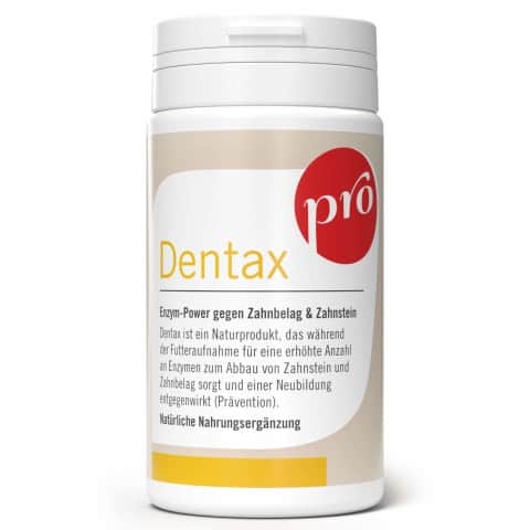 Anifit Pro Dentax