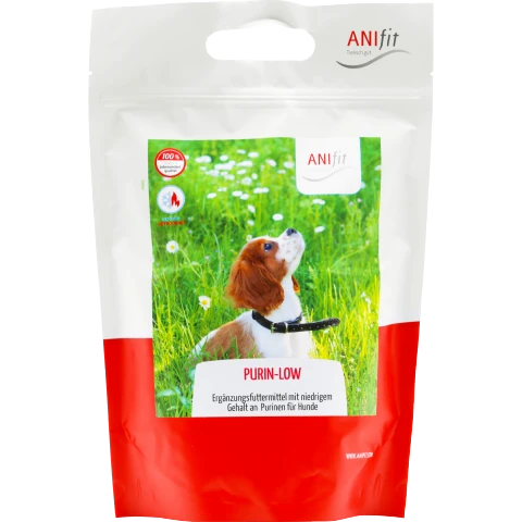prunkhund halsband klassisches Hundehalsband basic olive main image 1