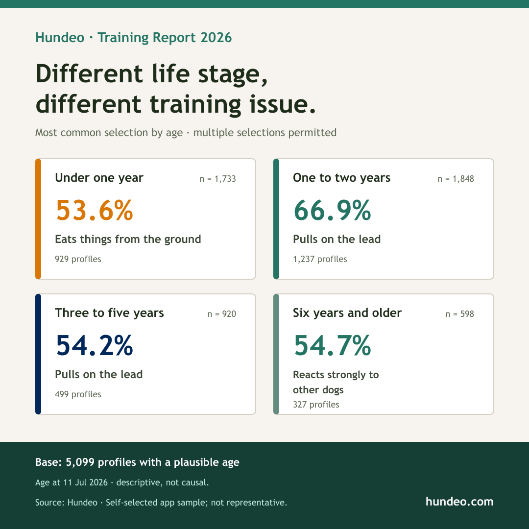 Hundeo data graphic: most common training issues by dog age