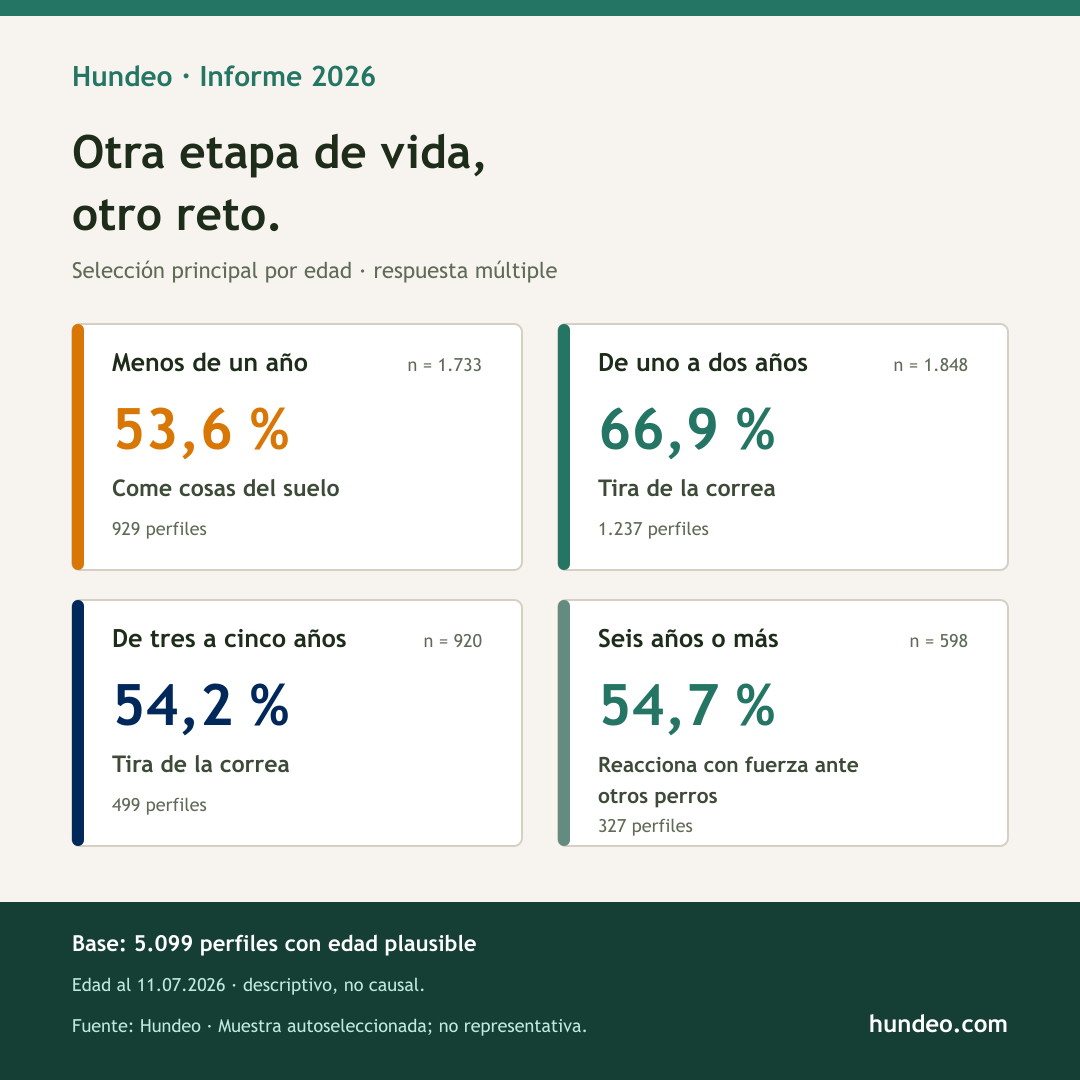 Gráfico de Hundeo: retos de adiestramiento más frecuentes por edad