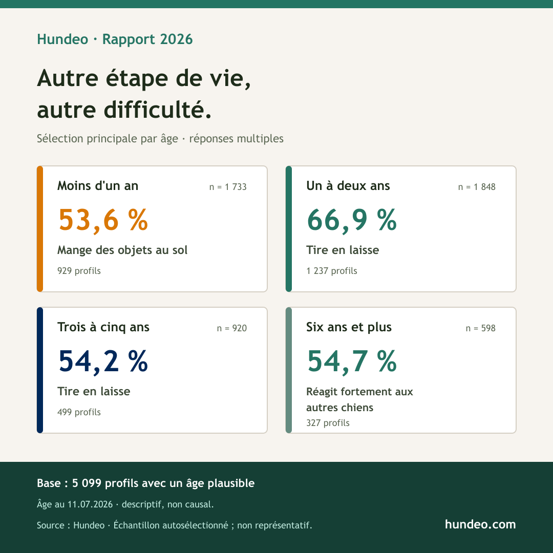 Infographie Hundeo : difficultés d'éducation les plus fréquentes selon l'âge
