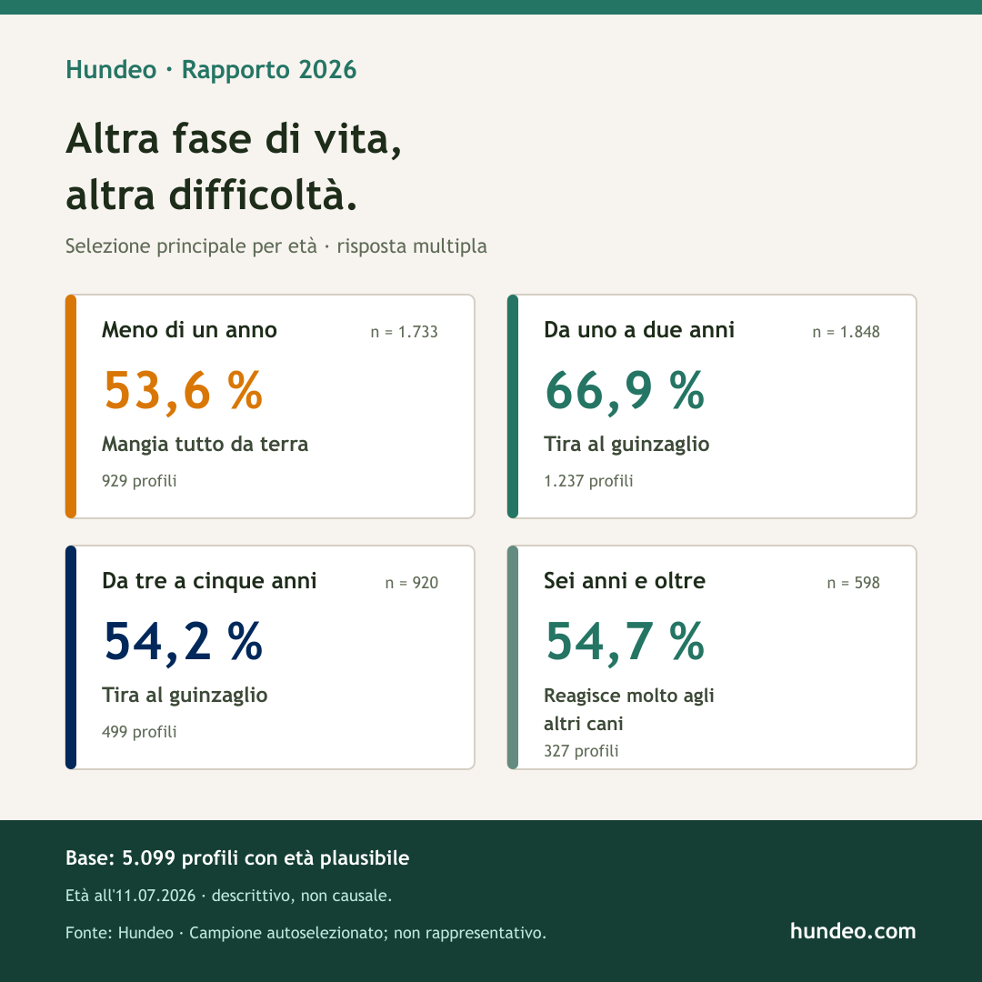 Grafica Hundeo: difficoltà di addestramento più frequenti per età