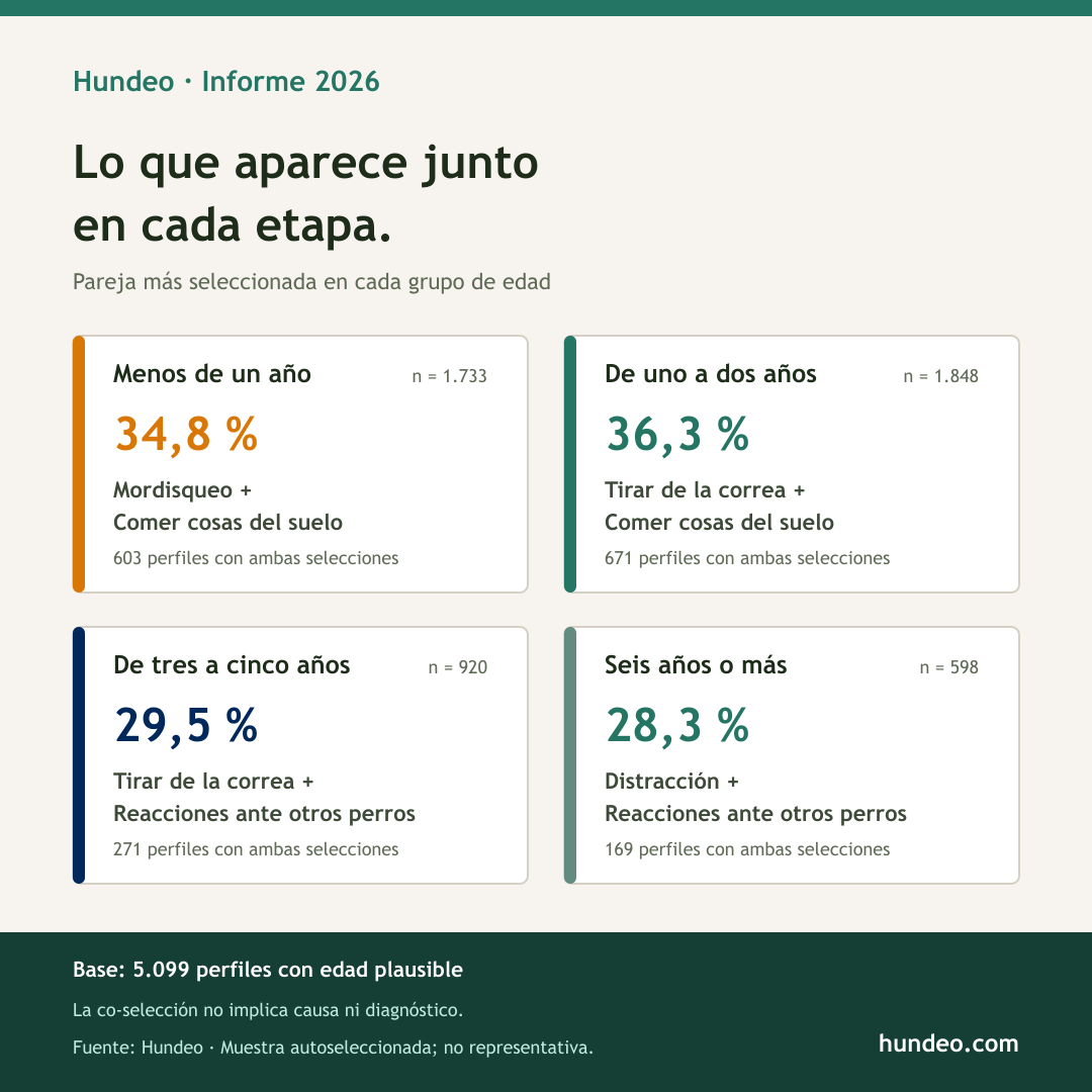 Gráfico de Hundeo: retos seleccionados juntos con más frecuencia según la edad