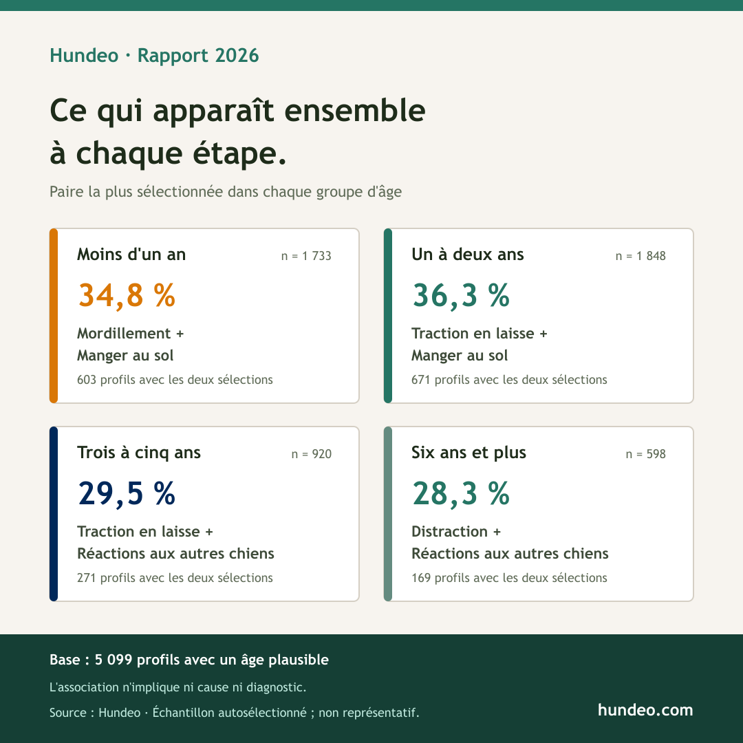 Infographie Hundeo : difficultés sélectionnées ensemble le plus souvent selon l'âge
