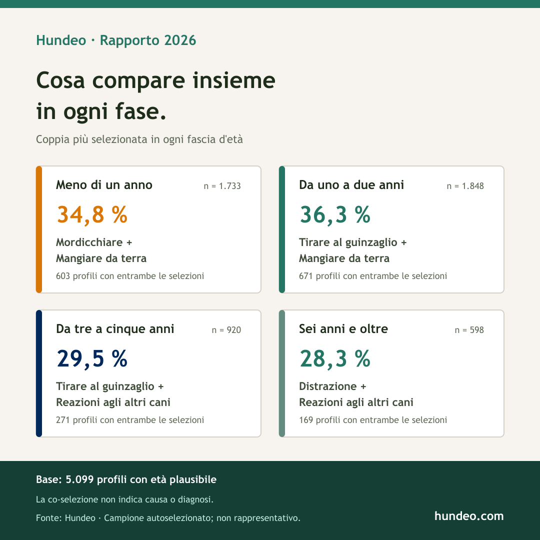 Grafica Hundeo: difficoltà selezionate insieme più spesso per età