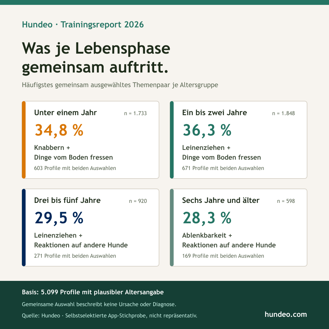 Hundeo Datengrafik: häufigste gemeinsam ausgewählte Trainingsherausforderungen nach Hundealter