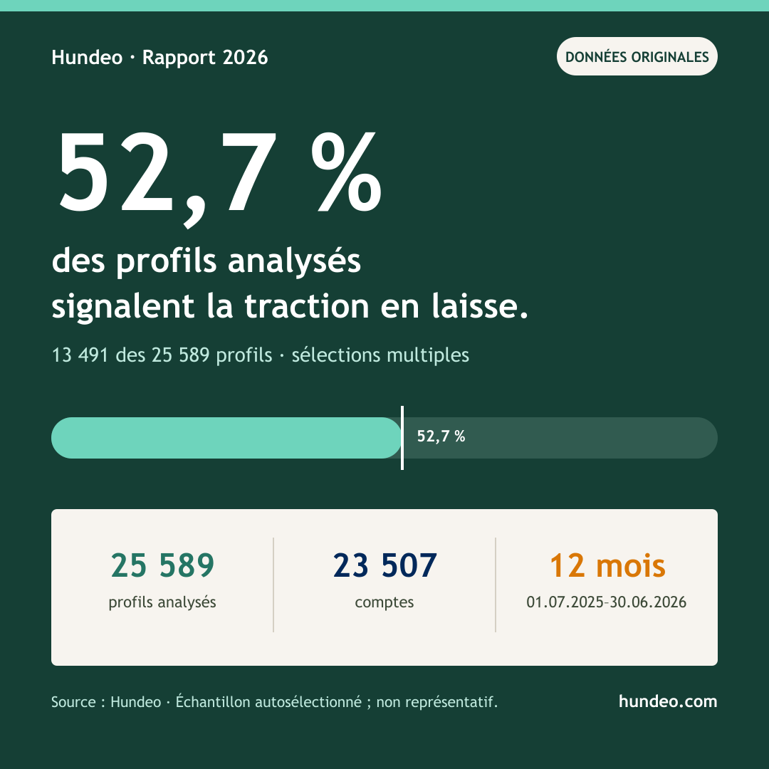 Infographie Hundeo : 52,7 % des profils signalent que le chien tire en laisse