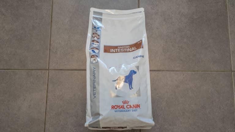royal canin hundefutter
