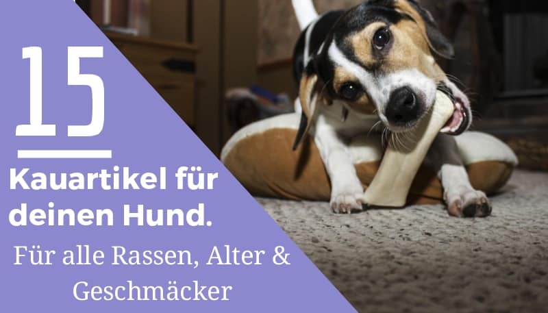 15 Kauartikel Hund