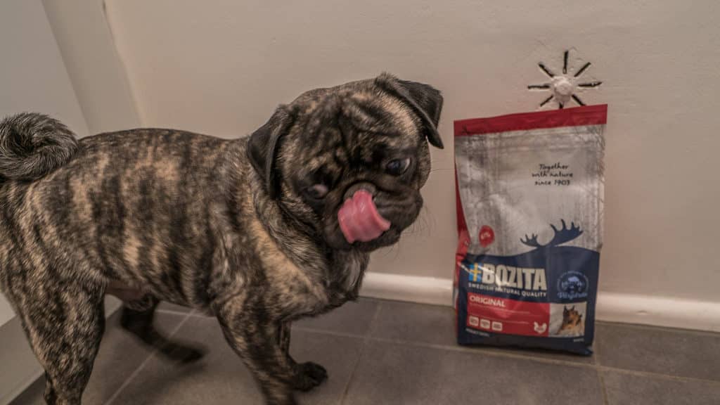 Bozita 10 bozita
