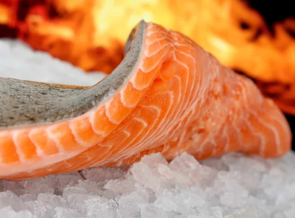 Hundekekse selber backen (15 Rezepte) 31 Lachs