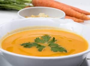 Cane da zuppa di carote Moro