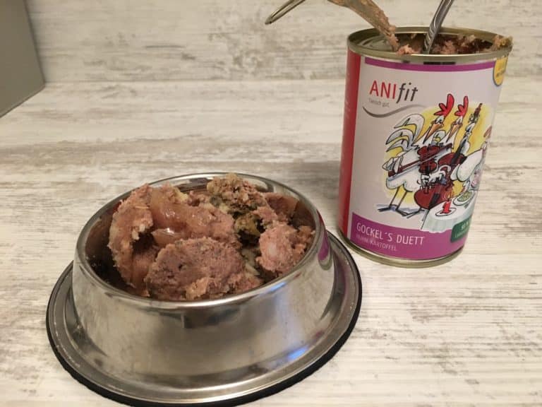 Feste Fütterungszeiten für deinen Hund? 1 anifit nassfutter erfahrungen
