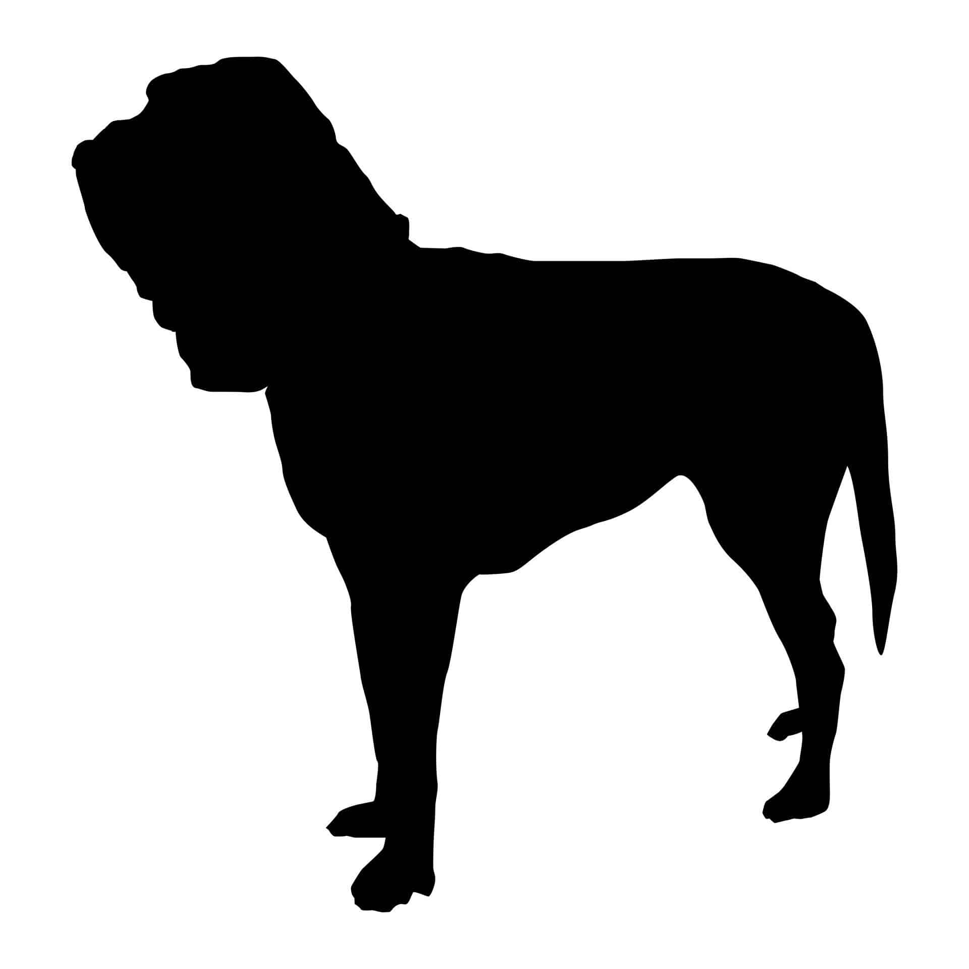 bloodhound_herkunft