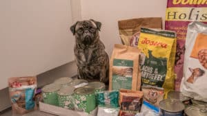 Comparación de alimentos para perros