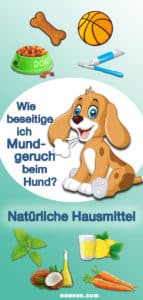 Grafik Mundgeruch Hund