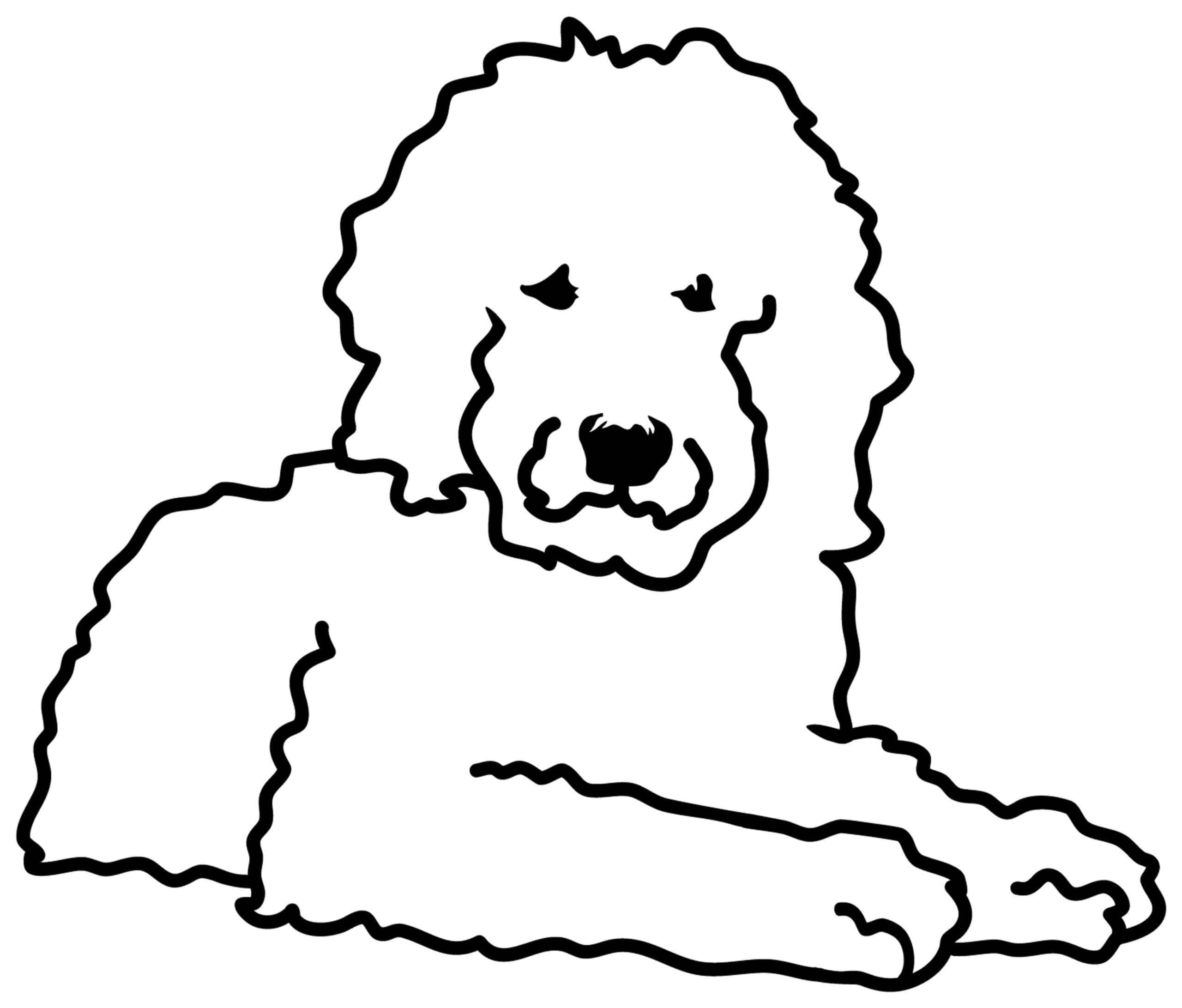 Goldendoodle history