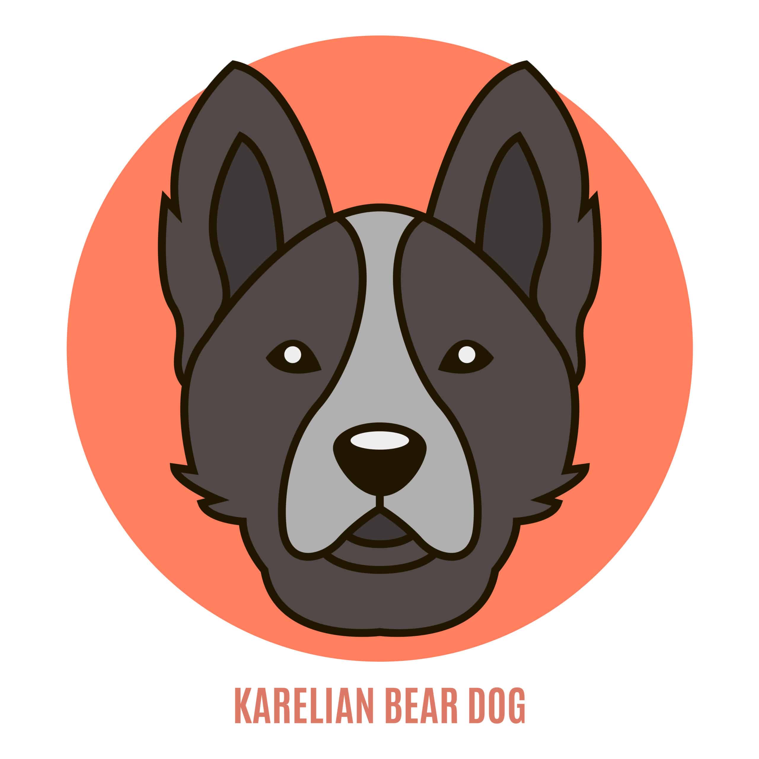 Karelian bear dog history