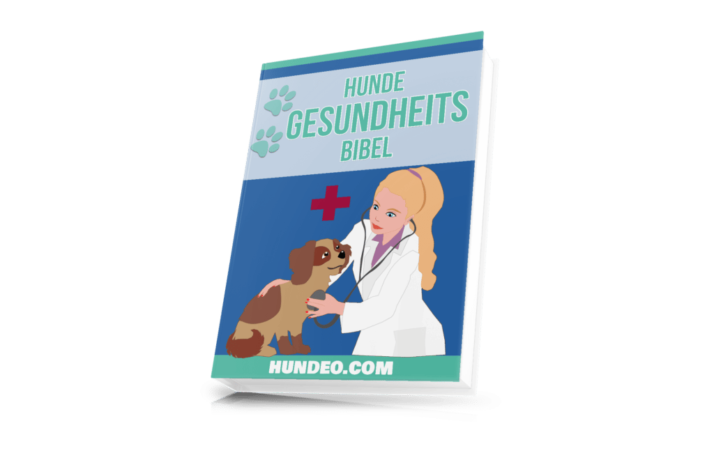 hunde gesundheits bibel 61 1