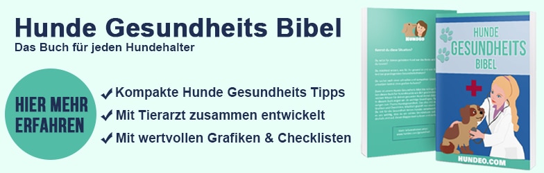 Partner 2 Bannerwerbung HGB V2 784x250