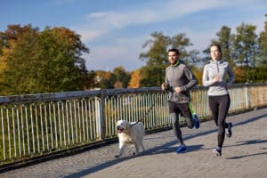 Joggen mit deinen Hund