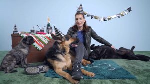 7 tips for a relaxed New Year's Eve with your dog