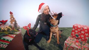 Christmas with dog