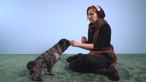 What is clicker training_ (benefits, exercises and tips for your dog) 2-42