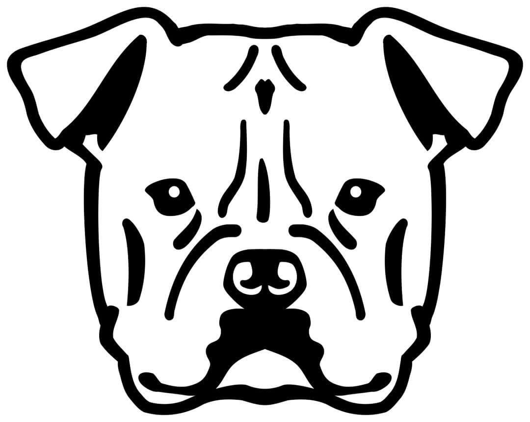 American Bulldog graphic