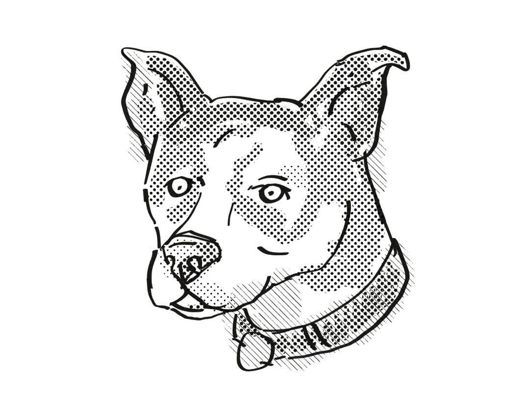 Canaan dog graphic