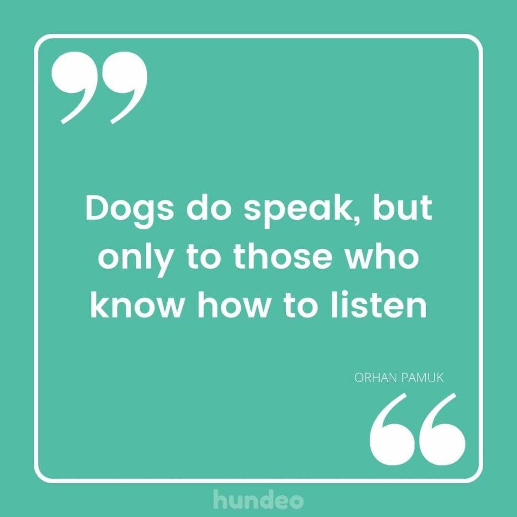 53 Best Dog Sayings & Quotes (Funny & Short)