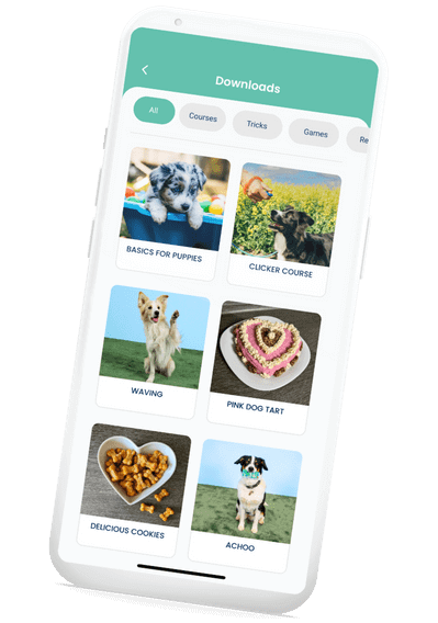 Hundeo: The Best Dog Training App For A Strong Bond