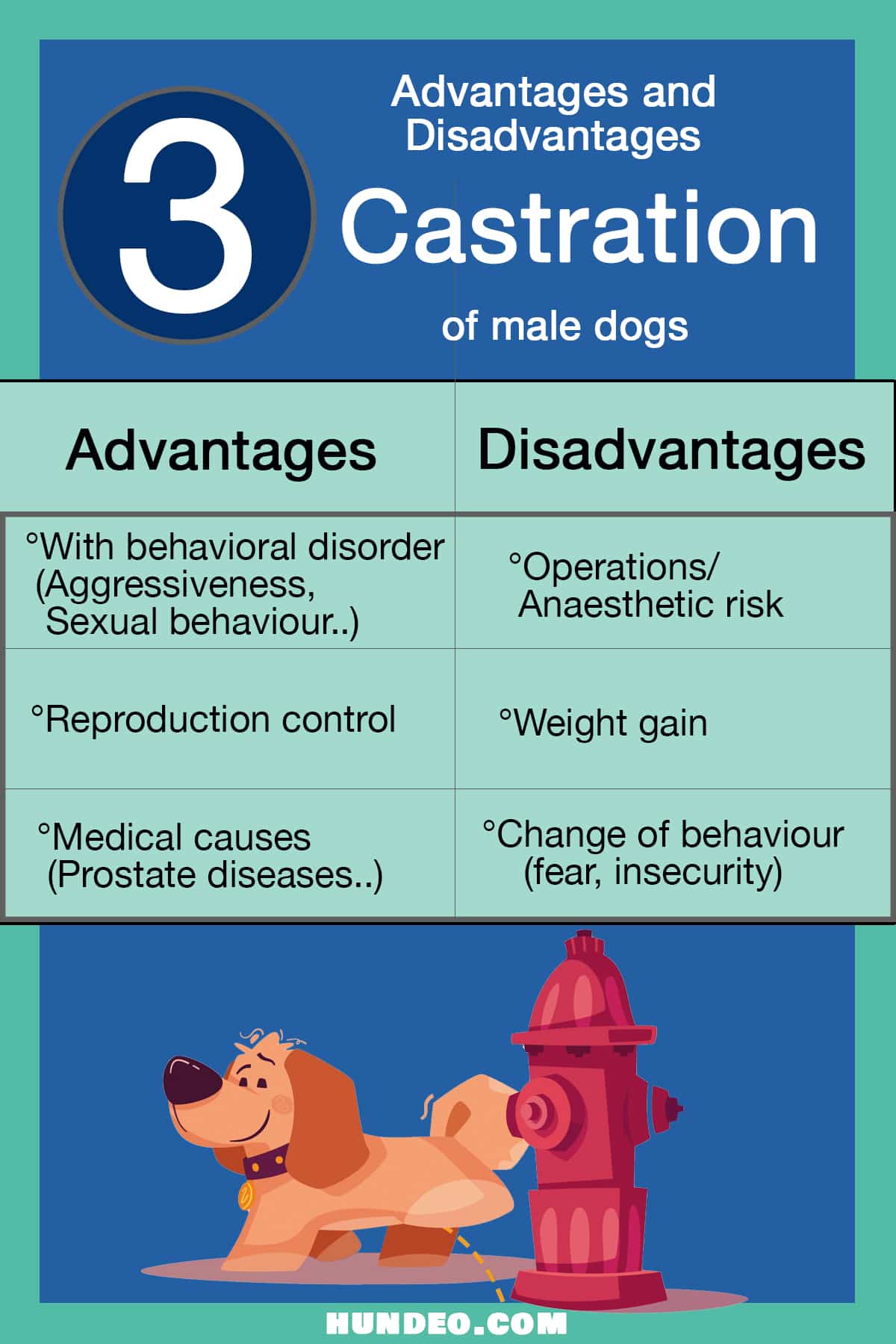 7 Advantages & disadvantages of castration in male dog
