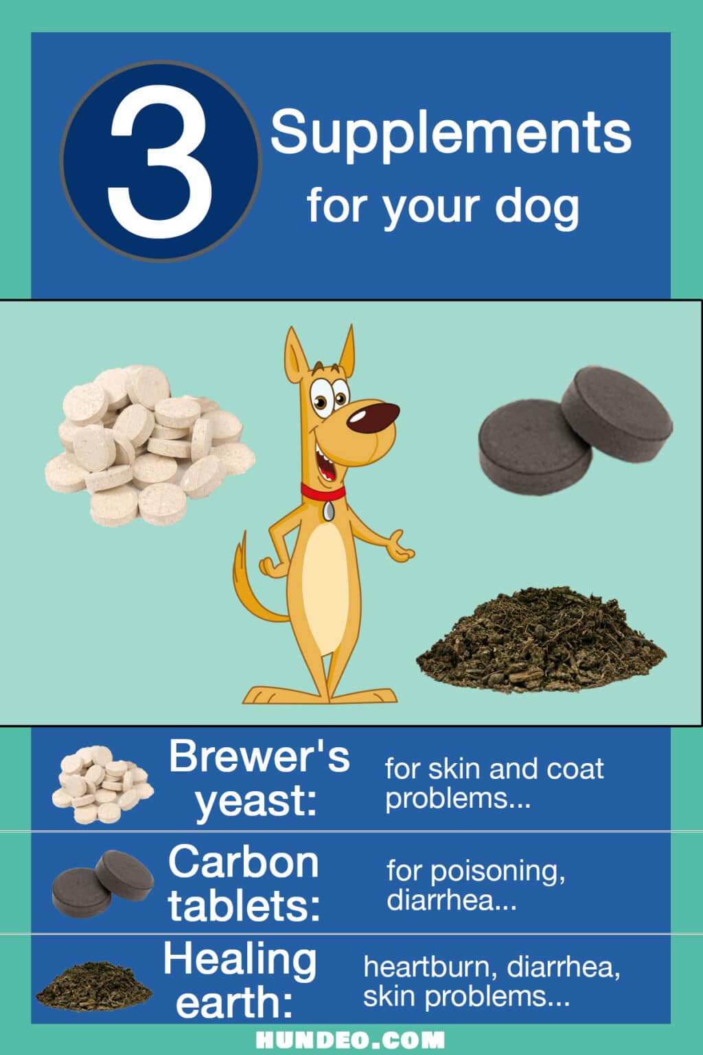 What you should know about charcoal tablets for dogs