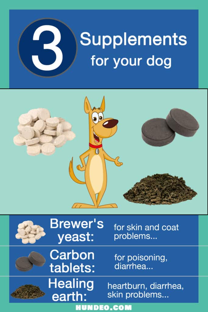 Supplements for your dog