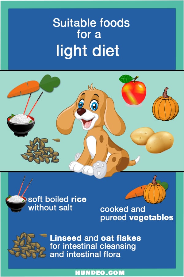 Light Diet