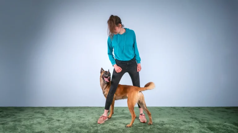 Une personne vêtue d'un sweat à capuche bleu et d'un pantalon noir se tient debout, la tête baissée, sur un tapis vert. Un chien brun est assis à côté d'elle et regarde vers le haut de manière enjouée, la langue pendante. Cette scène capture l'essence de l'entente entre l'homme et l'animal de compagnie devant un simple mur bleu clair.