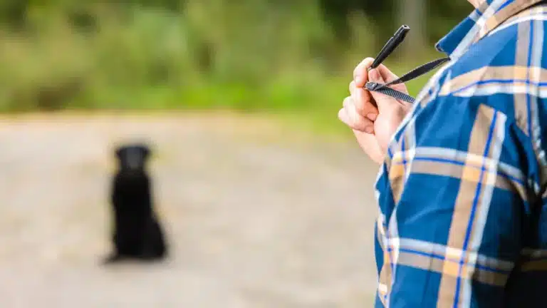 A person in a blue plaid shirt holds a dog whistle and focuses on using it effectively for dog training while facing a seated black dog on a blurred path. The emphasis is on the whistle and the person's hand.