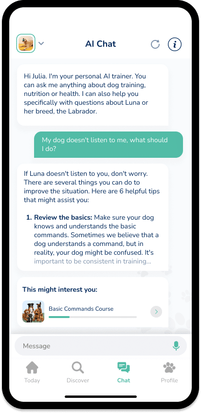 Capture d'écran d'une interface de chat IA sur un appareil mobile. L'IA propose 6 conseils pour améliorer le comportement d'un chien, en commençant par la répétition des commandes de base. Sous le chat, une recommandation pour le cours de commandes de base Hundeo est affichée, accessible via l'application Hundeo.