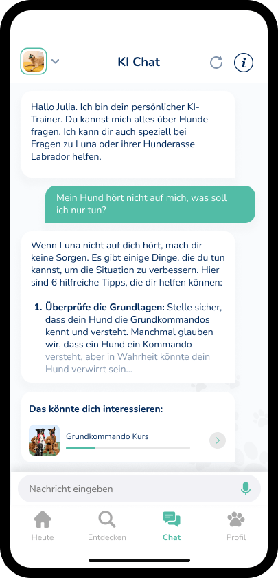 Auf einem Smartphone-Bildschirm wird eine Chat-Oberfläche der Hundeo-App mit einem KI-Trainer angezeigt. Im Gespräch werden Hundetrainingstipps für Hunde besprochen, die Befehlen nicht folgen. Außerdem wird empfohlen, die Grundlagen zu überprüfen und sicherzustellen, dass der Hund sie beherrscht. Links zu einem Kurs für grundlegende Befehle sind verfügbar.
