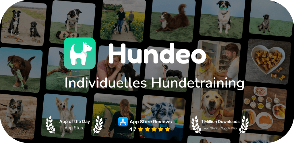 hundeo_app_banner_de